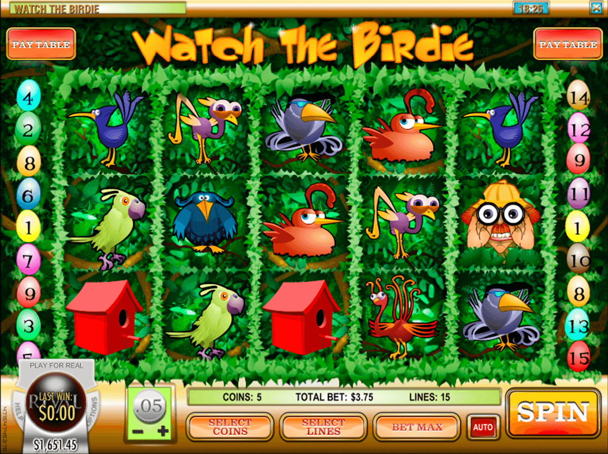 Watch the Birdie