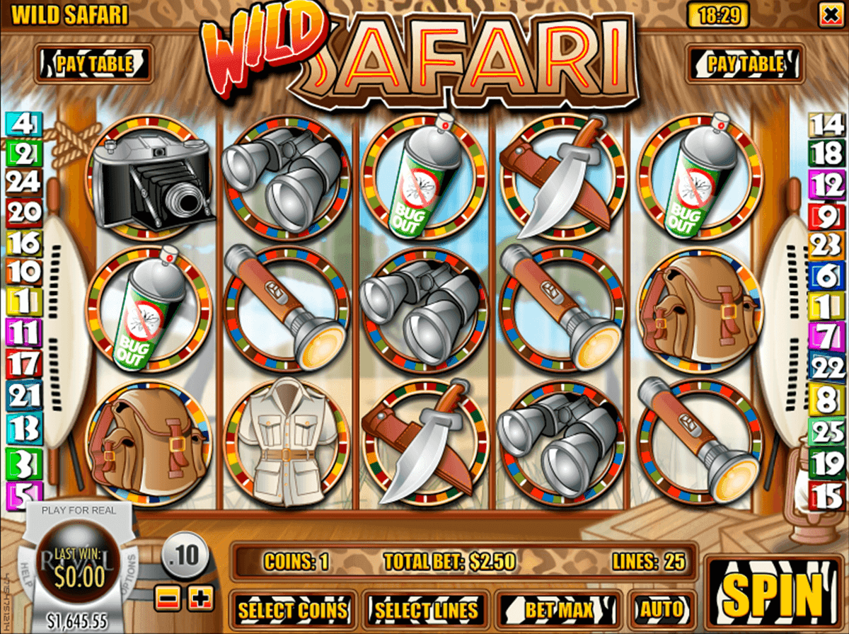 Wild Safari