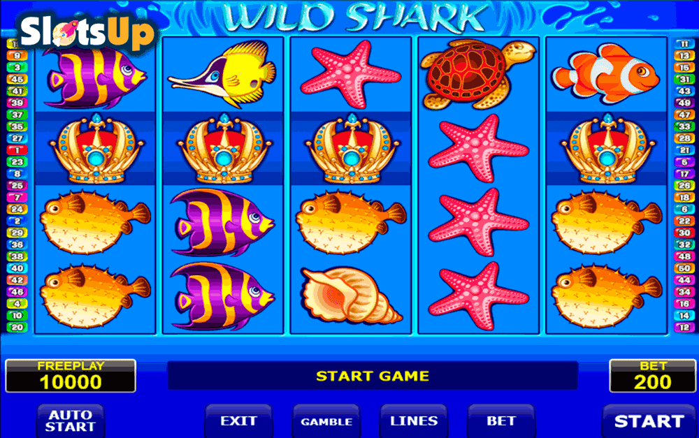 Wild Shark