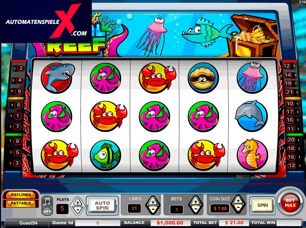 Coral Reef