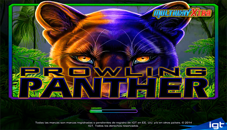 Prowling Panther