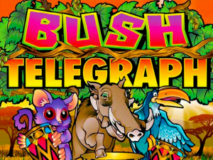 Bush Telegraph Demo