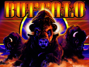 Buffalo Demo