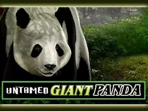 Slot Name logo