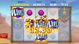 Wheel of Wishes - Screenshot 8