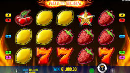 Hot to Burn - Screenshot 1