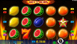 Hot to Burn - Screenshot 5