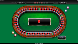 100/1 Roulette - Screenshot 3