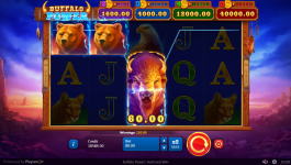 Buffalo Power: Hold and Win - Screenshot 2