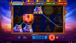 Buffalo Power: Hold and Win - Screenshot 3