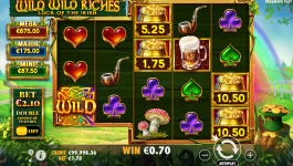 Wild Wild Riches - Screenshot 3