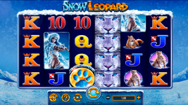 Snow Leopard - Screenshot 6