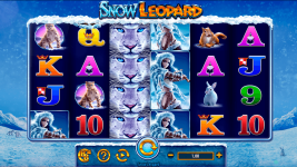 Snow Leopard - Screenshot 7