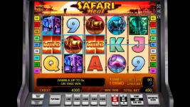 Safari Heat by Novomatic - Screenshot 1
