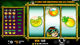 Monkey Madness - Screenshot 5