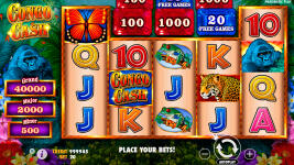 Congo Cash - Screenshot 2