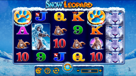 Snow Leopard - Screenshot 8