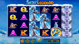Snow Leopard - Screenshot 2