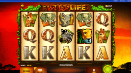 Wild Life - Screenshot 1