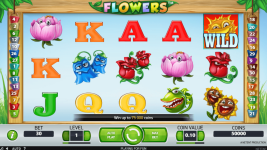 Flowers - Screenshot 1