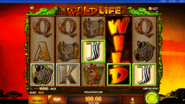Wild Life - Screenshot 8