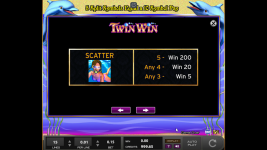 Twin Win - Screenshot 2
