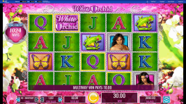 White Orchid - Screenshot 2