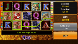 Cats - Screenshot 1