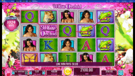 White Orchid - Screenshot 8