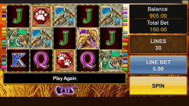 Cats - Screenshot 4