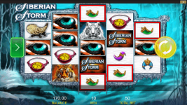 Siberian Storm - Screenshot 5