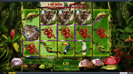 Secrets of the Amazon - Screenshot 7