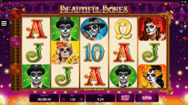 Beautiful Bones - Screenshot 1
