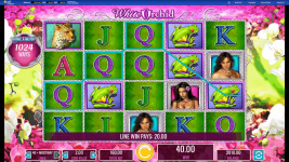 White Orchid - Screenshot 3