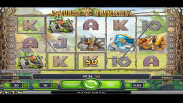 Wild Turkey - Screenshot 7