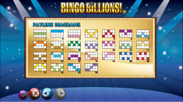 Bingo Billions - Screenshot 1