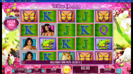 White Orchid - Screenshot 4