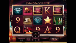The Finer Reels of Life - Screenshot 1