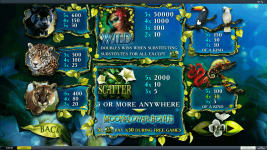 Secrets of the Amazon - Screenshot 8
