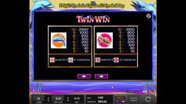 Twin Win - Screenshot 6