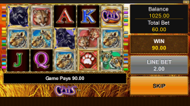 Cats - Screenshot 3
