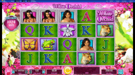 White Orchid - Screenshot 1