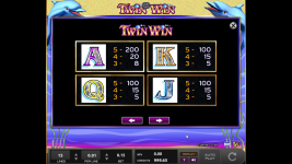 Twin Win - Screenshot 5