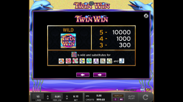 Twin Win - Screenshot 7