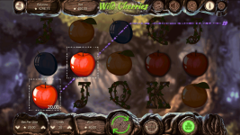 Wild Cherries - Screenshot 6