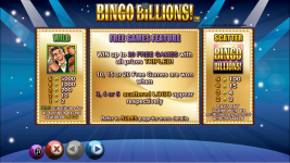 Bingo Billions - Screenshot 6
