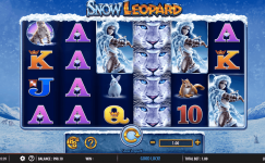 Snow Leopard Demo