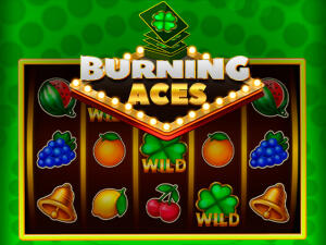 Burning Aces Burning Aces Demo