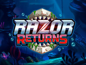 Razor Returns Demo
