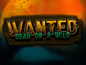 Wanted Dead Or A Wild Demo
